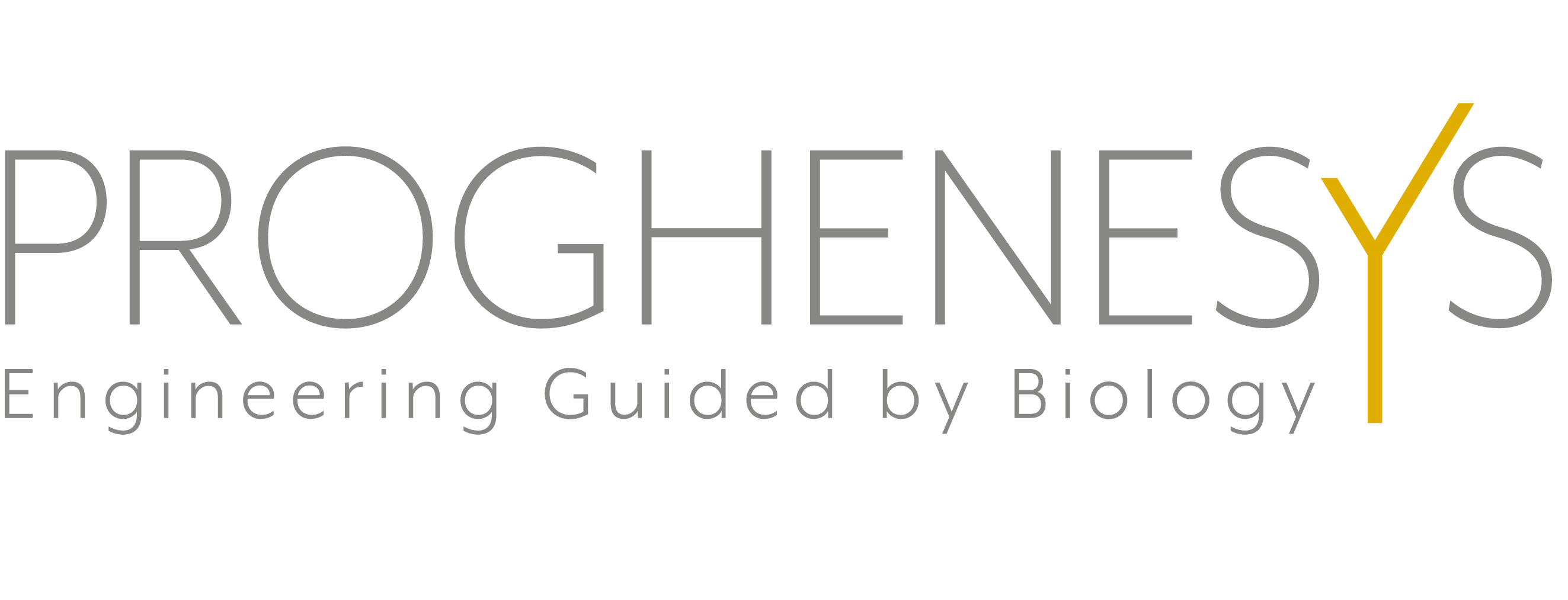 Mesh Logo